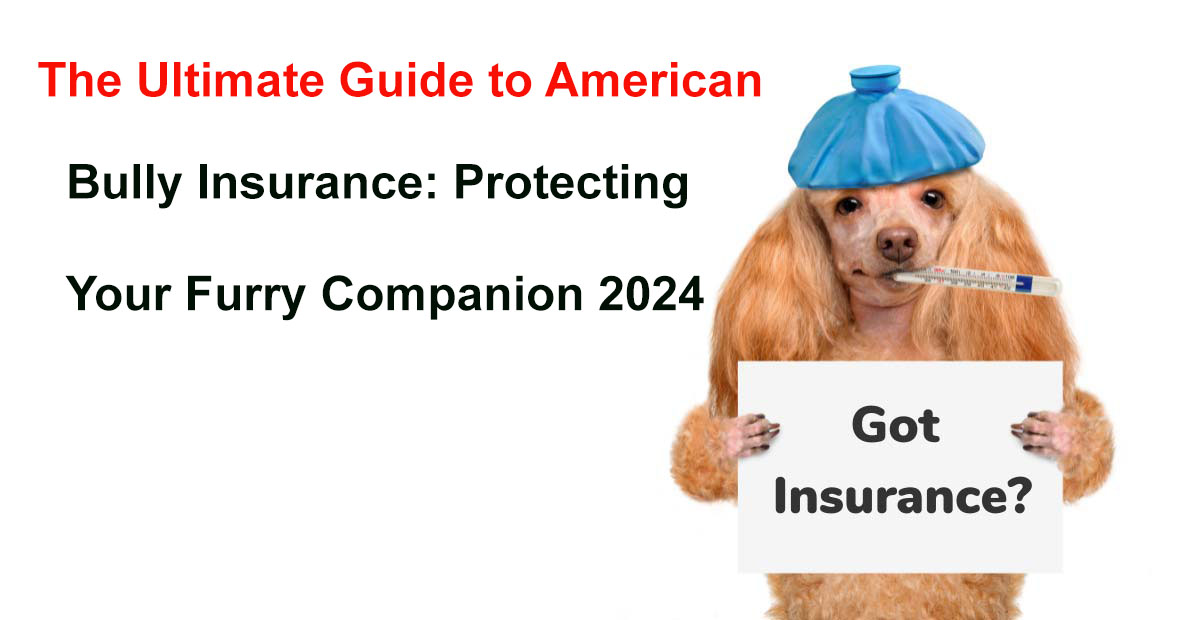 american bully insurance