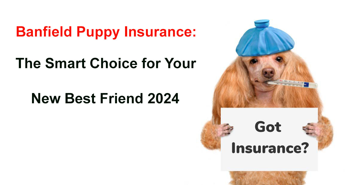 banfield puppy insurance