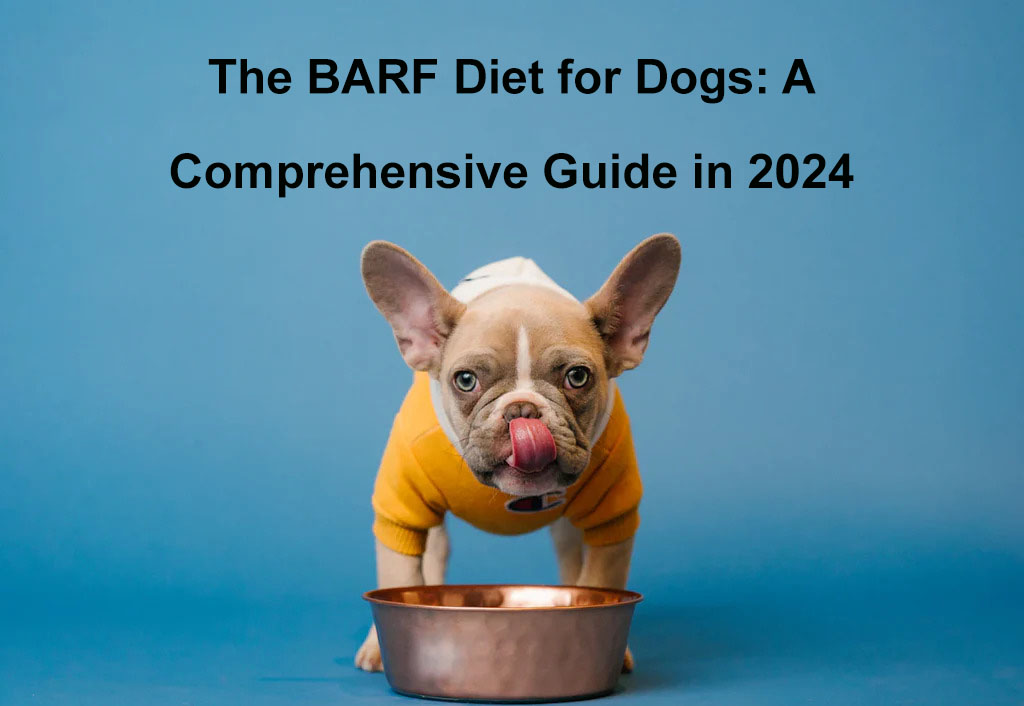 barf diet