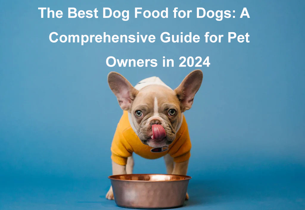 best dog food for dogs