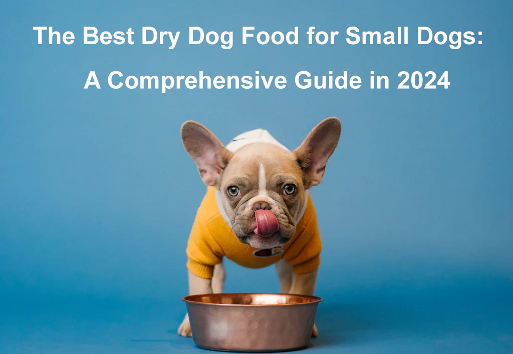 best dry dog food for small dogs