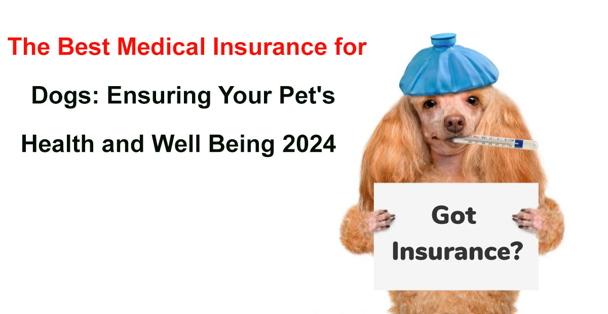 best medical insurance for dogs