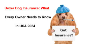 boxer dog insurance