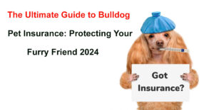 bulldog pet insurance