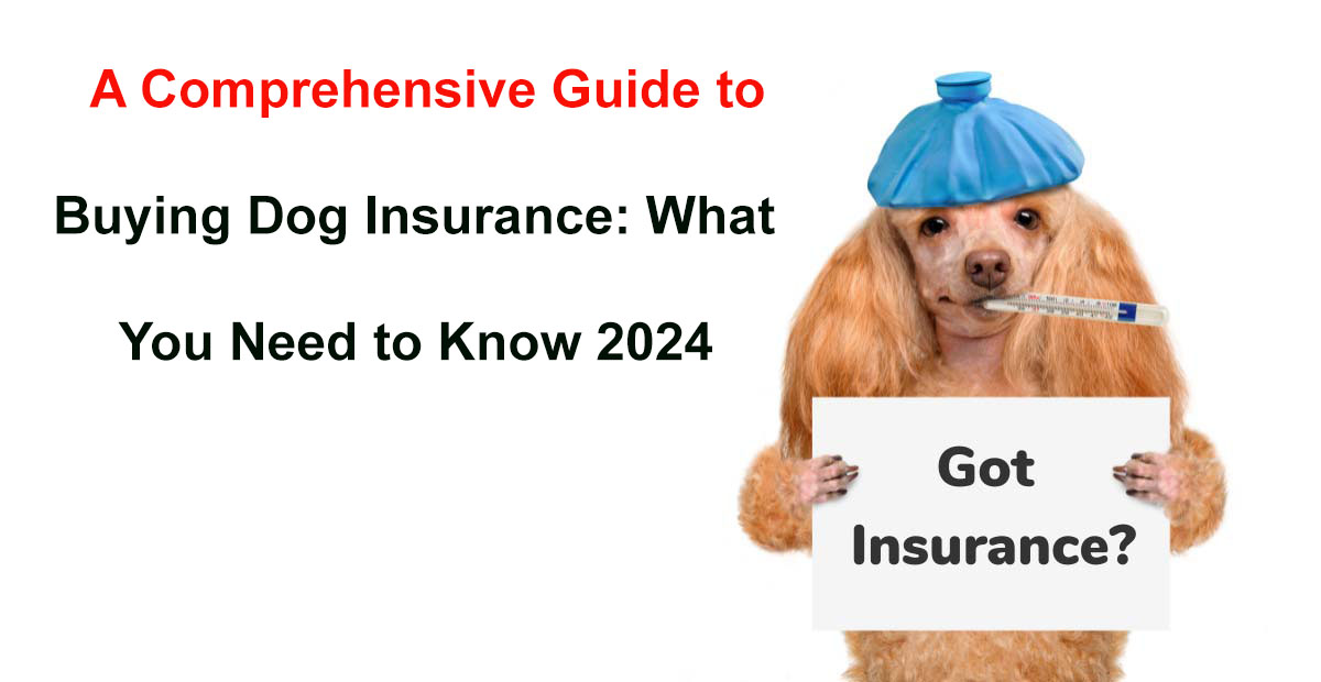 buy dog insurance