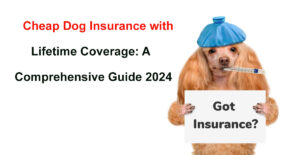 cheap dog insurance lifetime cover