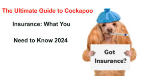 cockapoo insurance