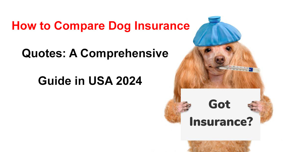 compare dog insurance quotes