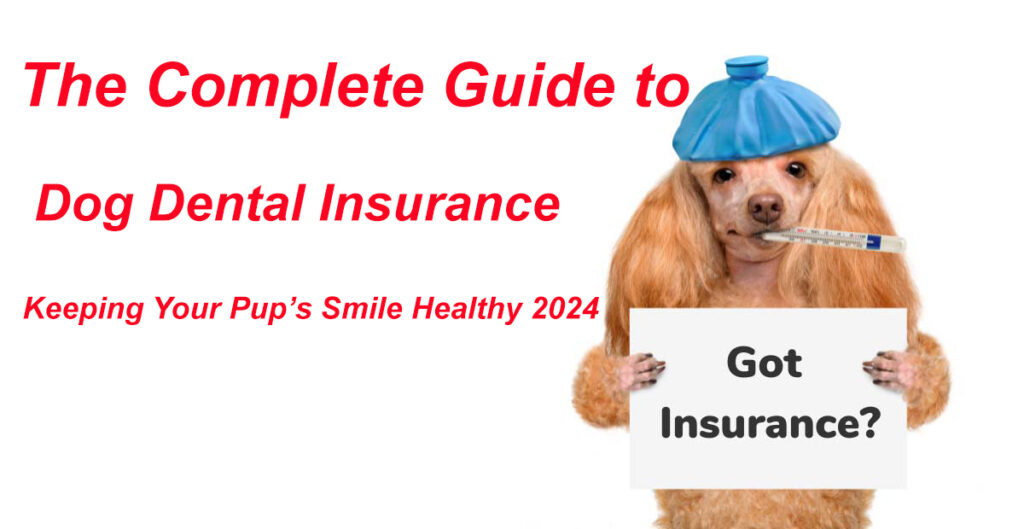 dog dental insurance