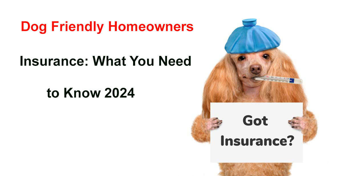 dog friendly homeowners insurance