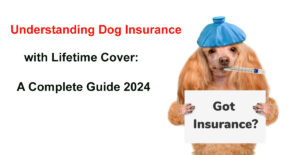 dog insurance lifetime cover