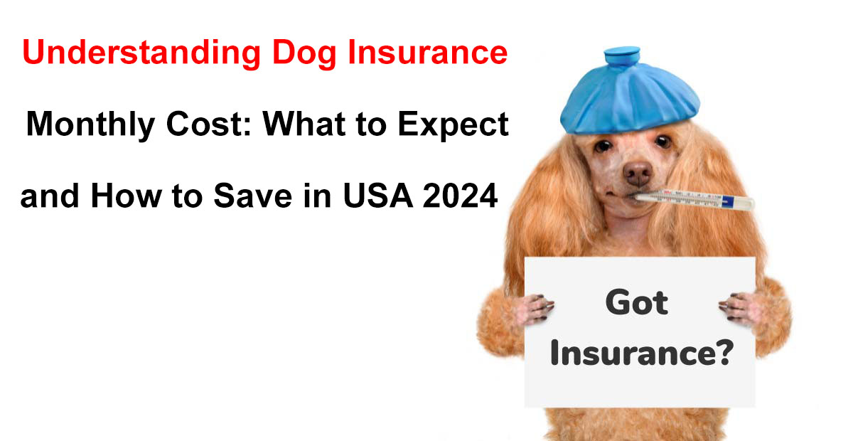 dog insurance monthly cost