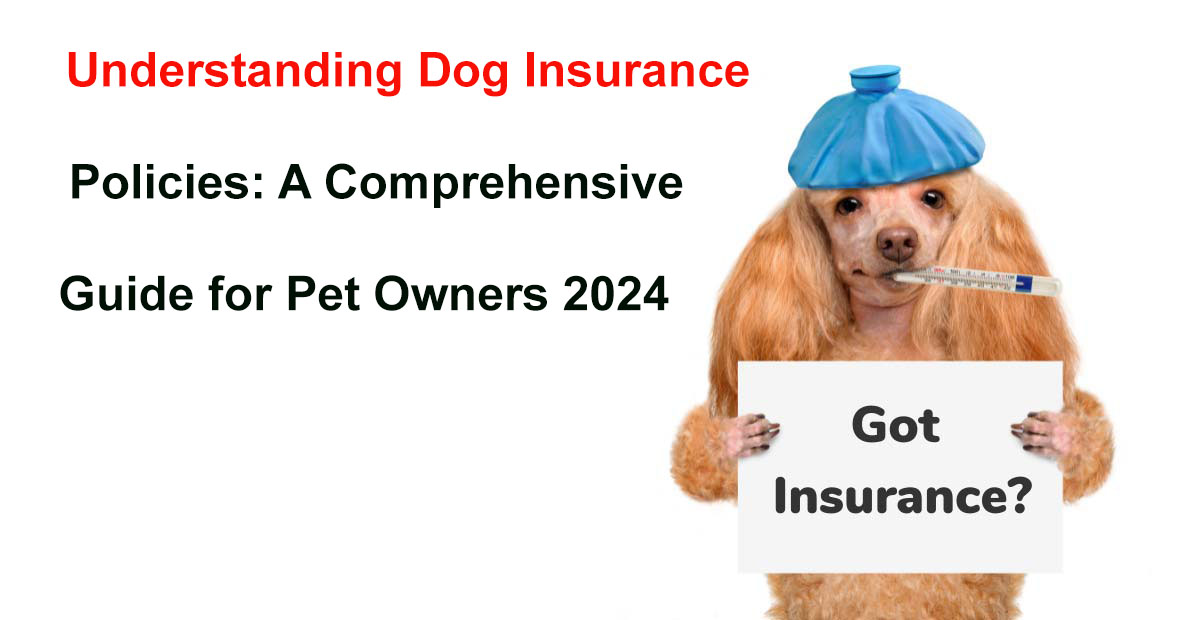 dog insurance policy