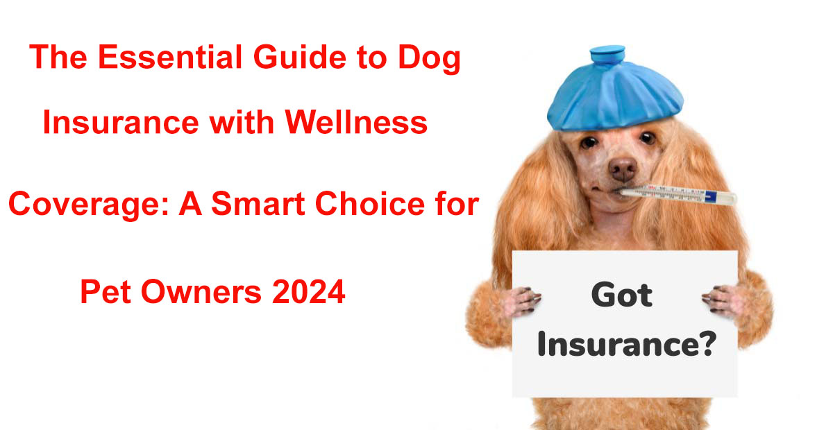 dog insurance with wellness coverage