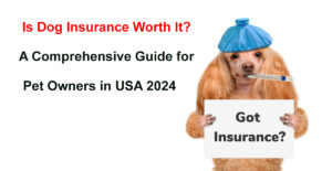 dog insurance worth it