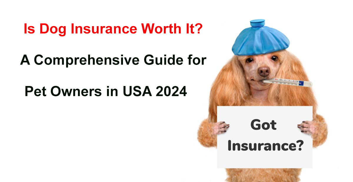 dog insurance worth it