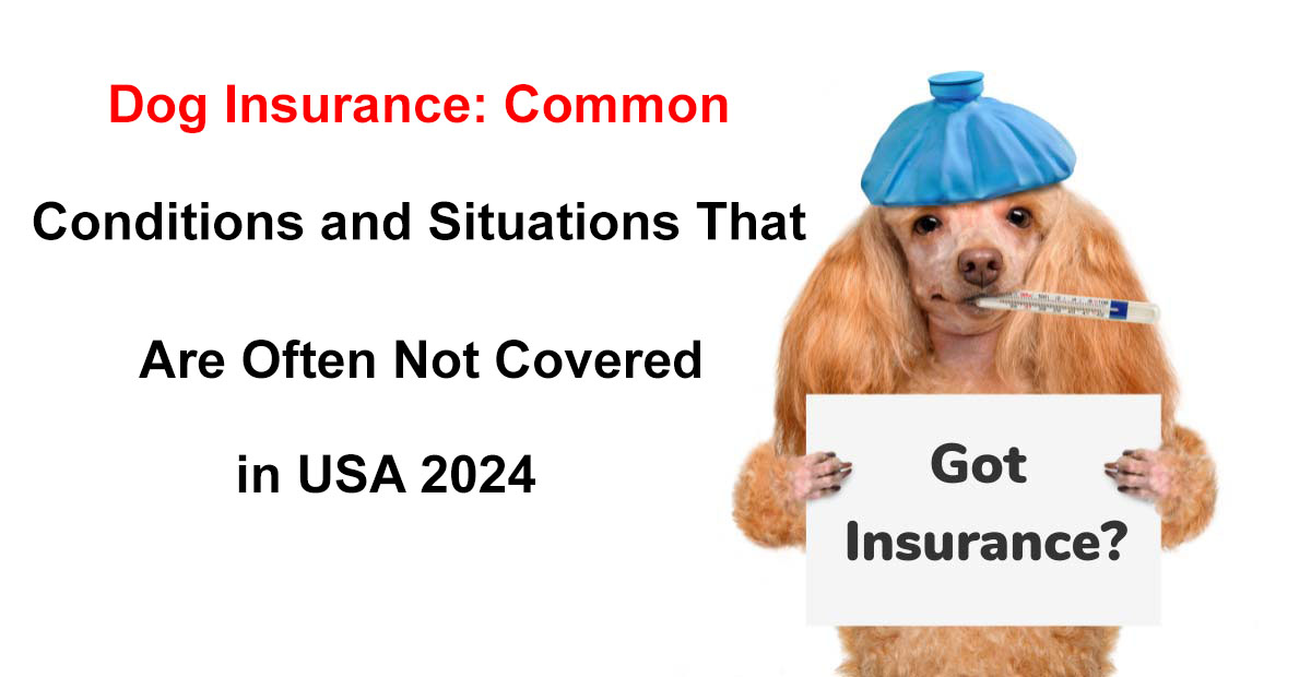 dogs insurance companies won t cover