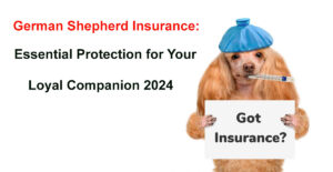 german shepherd insurance