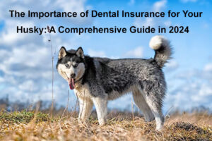 husky insurance dental