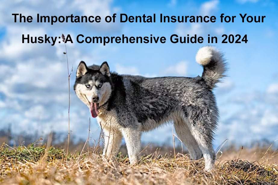 husky insurance dental