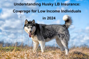 husky lb insurance