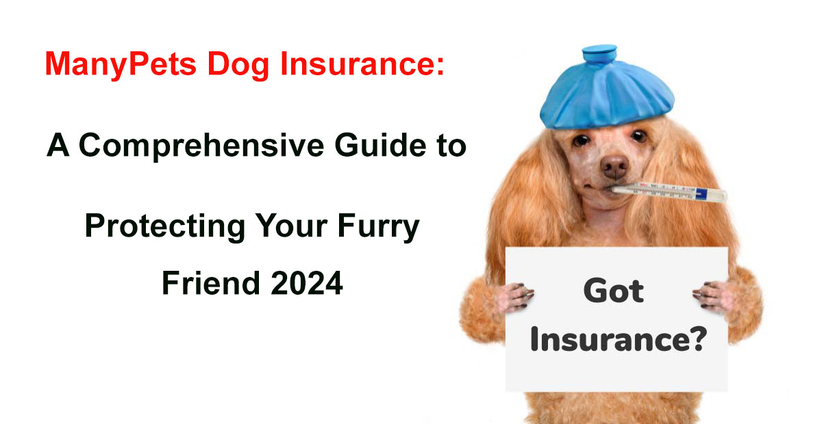 many pets dog insurance