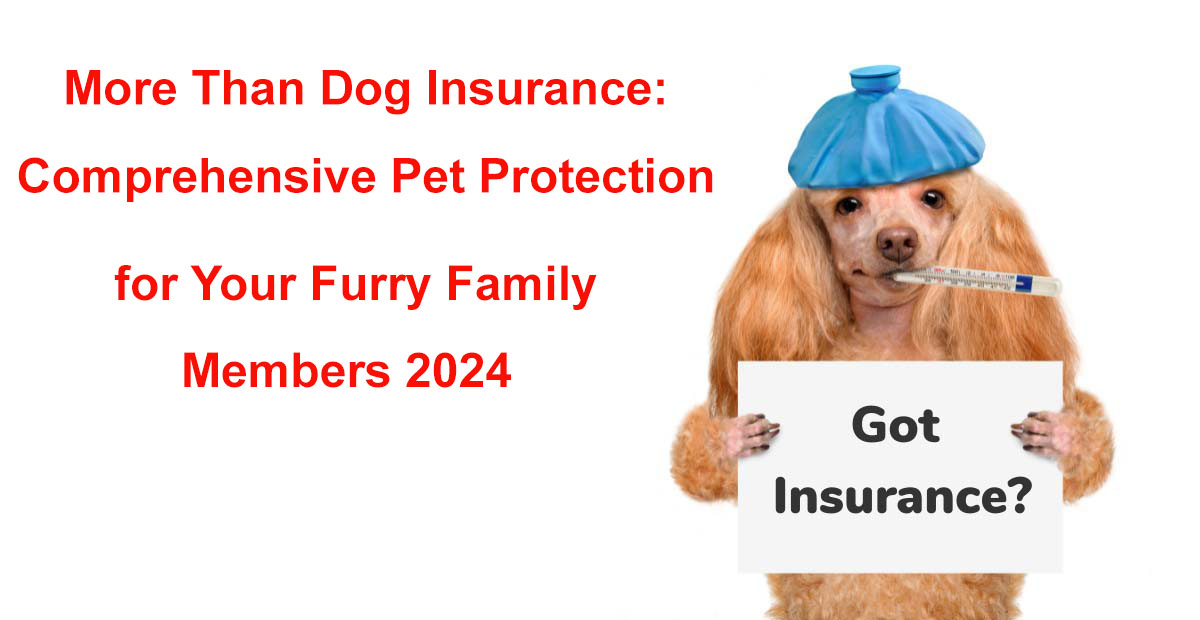 more than dog insurance