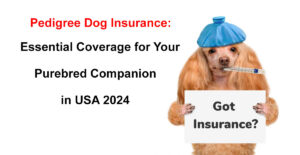 pedigree dog insurance