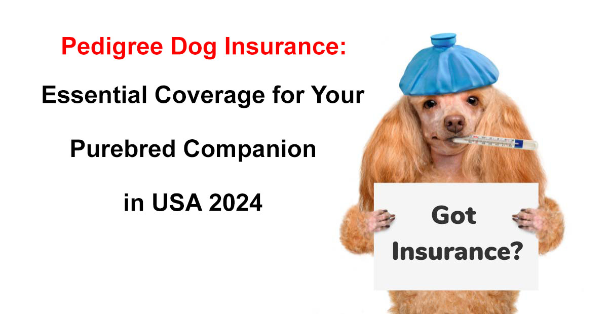 pedigree dog insurance