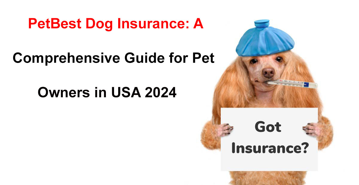 pet best dog insurance