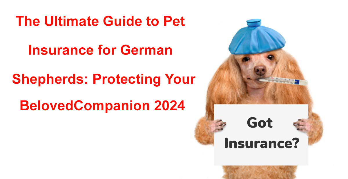 pet insurance for german shepherd