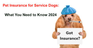 pet insurance for service dogs