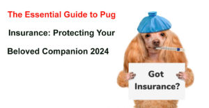 pug insurance