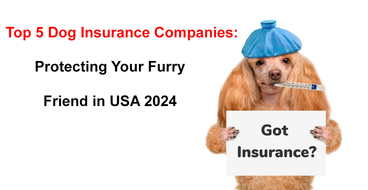 top 5 dog insurance companies