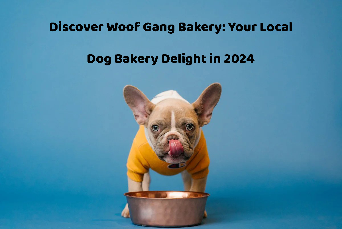 woof gang bakery near me